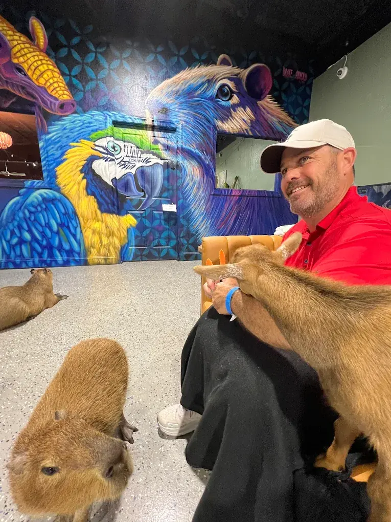 Capybara climbing into a guest's lap in front of the macaw mural at Capybara Cafe St. Petersburg