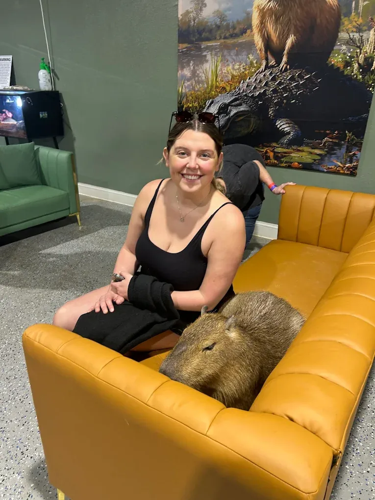 Capybara dozing on the sofa next to a smiling guest at Capybara Cafe St. Petersburg