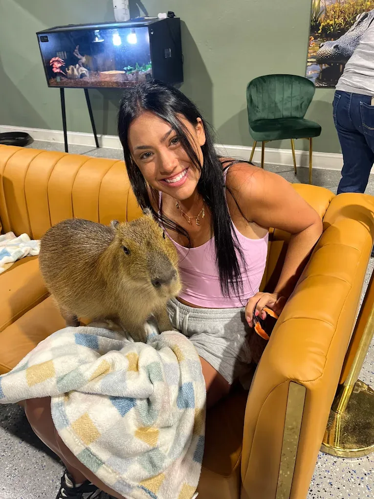 Guest relaxing on sofa with a capybara on her lap at Capybara Cafe St. Petersburg